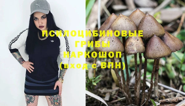 тгк Алексеевка
