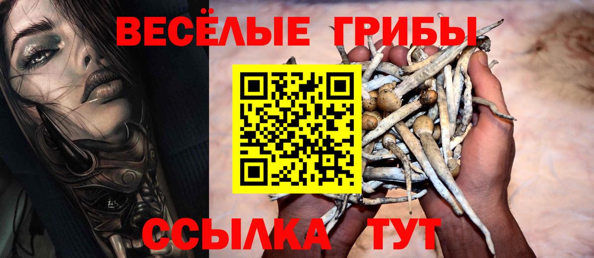 Заводоуковск  Галлюциногенные грибы ЛСД  Галлюциногенные грибы Cubensis  Вход с VPN 